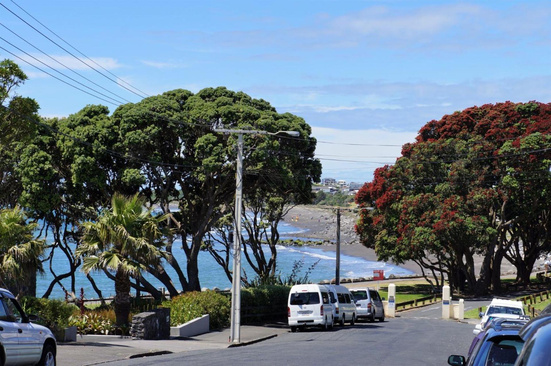 The Buller Bungalow You Will Fall In Love New Plymouth Exterior photo